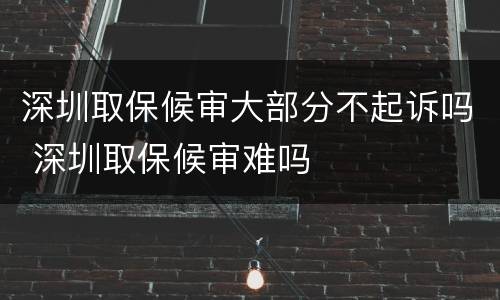 深圳取保候审大部分不起诉吗 深圳取保候审难吗