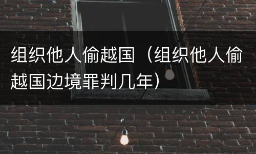 组织他人偷越国（组织他人偷越国边境罪判几年）