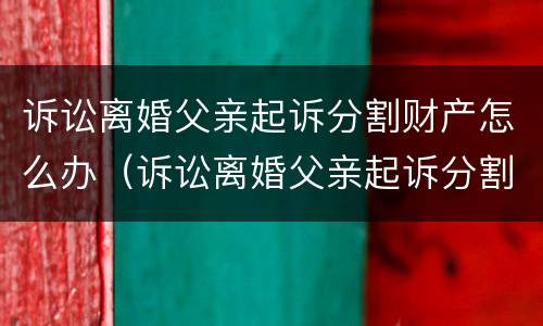 诉讼离婚父亲起诉分割财产怎么办（诉讼离婚父亲起诉分割财产怎么办理）