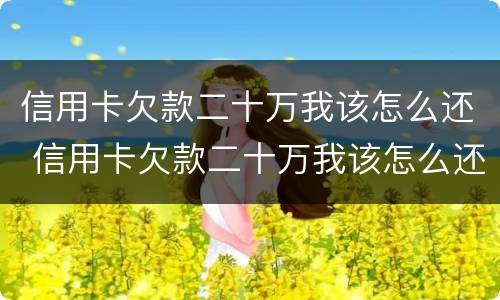 信用卡欠款二十万我该怎么还 信用卡欠款二十万我该怎么还款