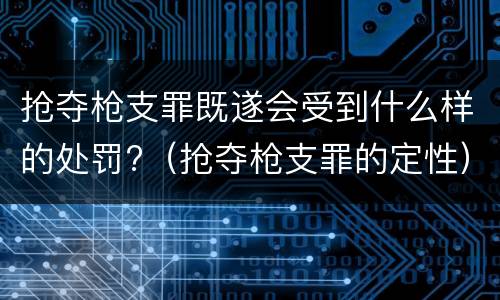抢夺枪支罪既遂会受到什么样的处罚?（抢夺枪支罪的定性）