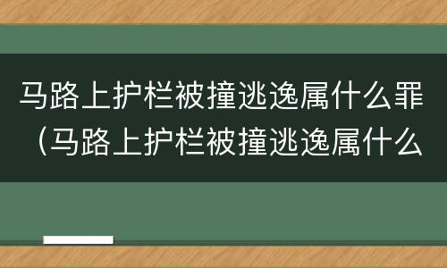 马路上护栏被撞逃逸属什么罪（马路上护栏被撞逃逸属什么罪名）