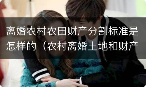 离婚农村农田财产分割标准是怎样的（农村离婚土地和财产怎么分）