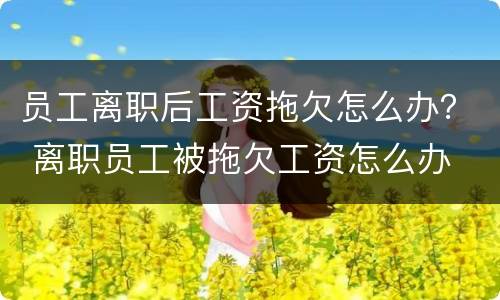 员工离职后工资拖欠怎么办？ 离职员工被拖欠工资怎么办