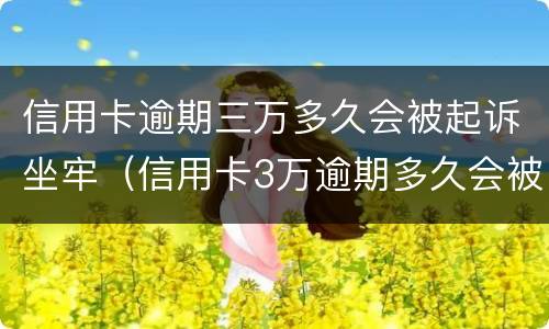 信用卡逾期三万多久会被起诉坐牢（信用卡3万逾期多久会被起诉）