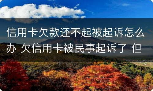 信用卡欠款还不起被起诉怎么办 欠信用卡被民事起诉了 但依旧还不起
