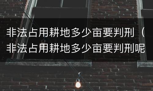 非法占用耕地多少亩要判刑（非法占用耕地多少亩要判刑呢）