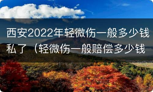 西安2022年轻微伤一般多少钱私了（轻微伤一般赔偿多少钱）