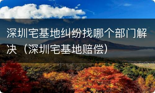 深圳宅基地纠纷找哪个部门解决（深圳宅基地赔偿）