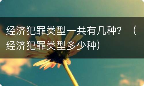 经济犯罪类型一共有几种？（经济犯罪类型多少种）