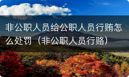 非公职人员给公职人员行贿怎么处罚（非公职人员行赂）