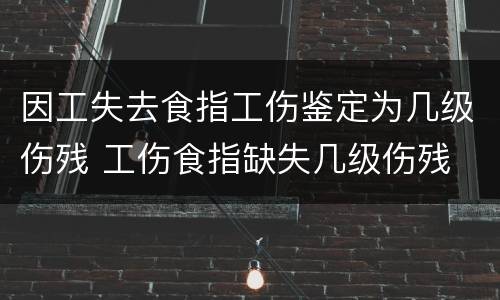 因工失去食指工伤鉴定为几级伤残 工伤食指缺失几级伤残