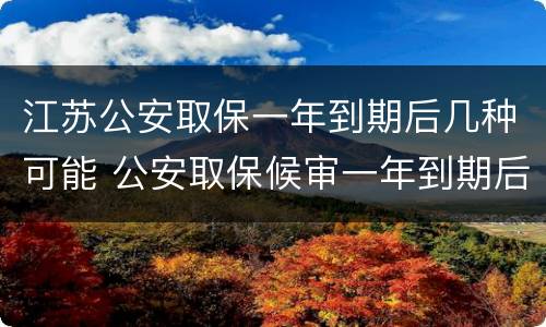 江苏公安取保一年到期后几种可能 公安取保候审一年到期后多久结案
