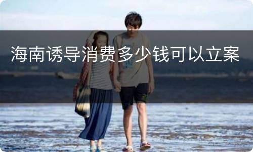 海南诱导消费多少钱可以立案