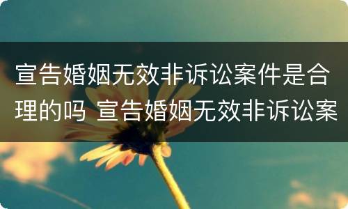 宣告婚姻无效非诉讼案件是合理的吗 宣告婚姻无效非诉讼案件是合理的吗为什么