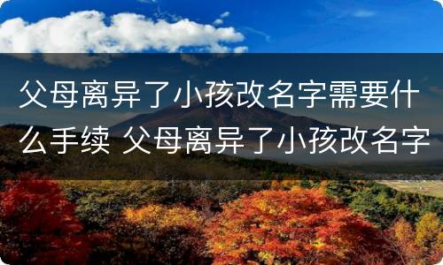 父母离异了小孩改名字需要什么手续 父母离异了小孩改名字需要什么手续和证件