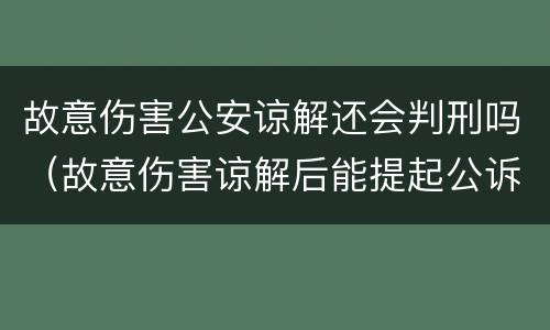 故意伤害公安谅解还会判刑吗（故意伤害谅解后能提起公诉吗）