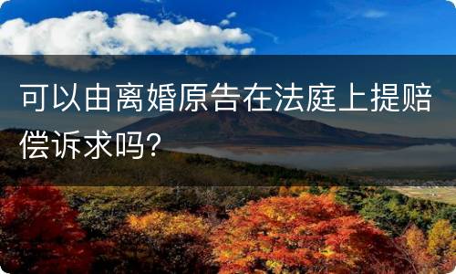 可以由离婚原告在法庭上提赔偿诉求吗？