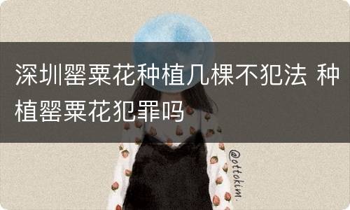 深圳罂粟花种植几棵不犯法 种植罂粟花犯罪吗
