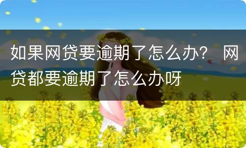 如果网贷要逾期了怎么办？ 网贷都要逾期了怎么办呀