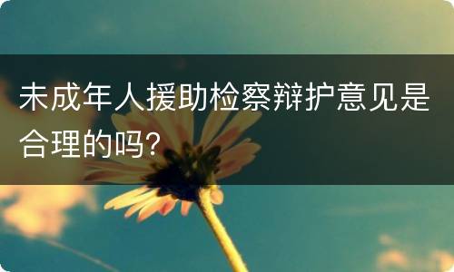未成年人援助检察辩护意见是合理的吗？
