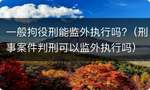 一般拘役刑能监外执行吗?（刑事案件判刑可以监外执行吗）