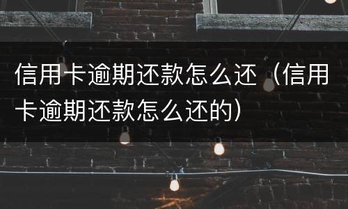 信用卡逾期还款怎么还（信用卡逾期还款怎么还的）