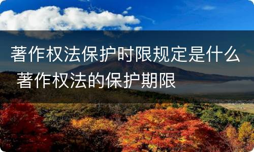 著作权法保护时限规定是什么 著作权法的保护期限