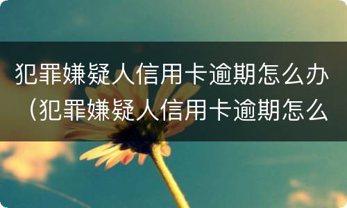 犯罪嫌疑人信用卡逾期怎么办（犯罪嫌疑人信用卡逾期怎么办呢）