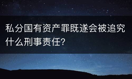 私分国有资产罪既遂会被追究什么刑事责任？
