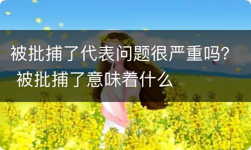 被批捕了代表问题很严重吗？ 被批捕了意味着什么