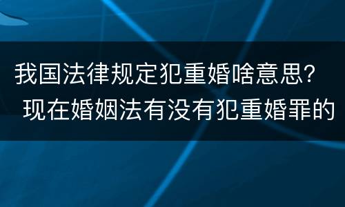 我国法律规定犯重婚啥意思？ 现在婚姻法有没有犯重婚罪的规定