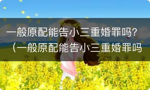 一般原配能告小三重婚罪吗？（一般原配能告小三重婚罪吗判几年）