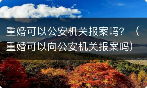 重婚可以公安机关报案吗？（重婚可以向公安机关报案吗）