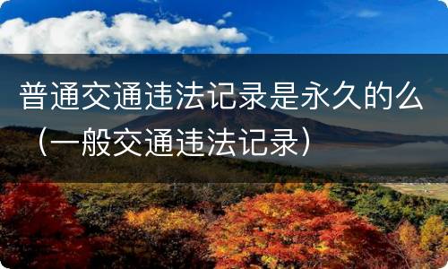 普通交通违法记录是永久的么（一般交通违法记录）