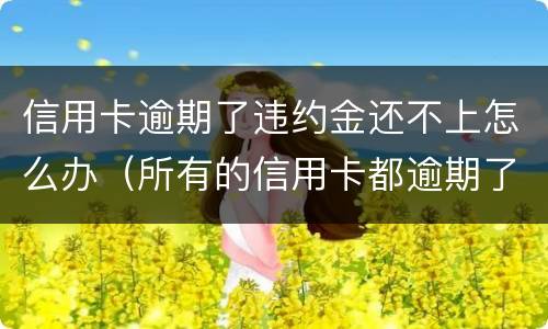 信用卡逾期了违约金还不上怎么办（所有的信用卡都逾期了还不上,怎么办）
