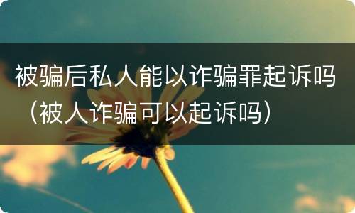 被骗后私人能以诈骗罪起诉吗（被人诈骗可以起诉吗）