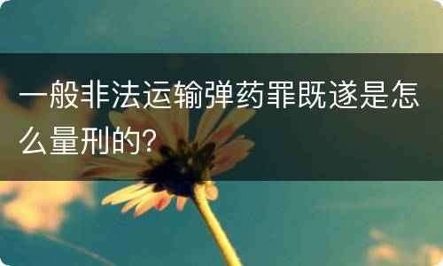 一般非法运输弹药罪既遂是怎么量刑的？