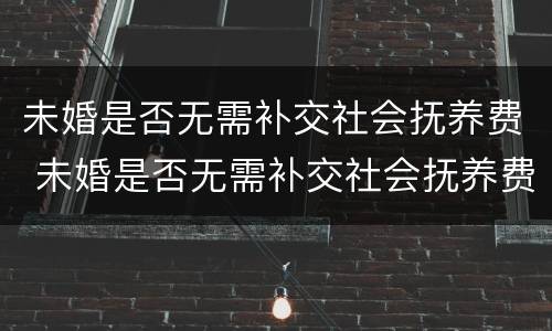 未婚是否无需补交社会抚养费 未婚是否无需补交社会抚养费费用