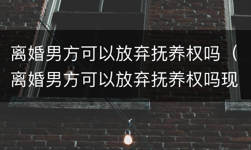 离婚男方可以放弃抚养权吗（离婚男方可以放弃抚养权吗现在）