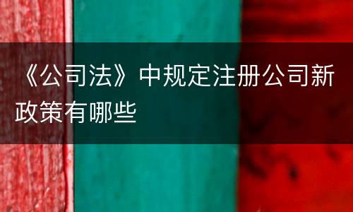 《公司法》中规定注册公司新政策有哪些