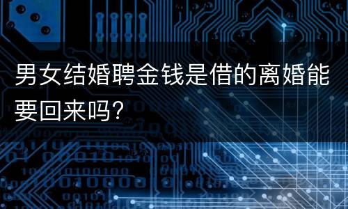 男女结婚聘金钱是借的离婚能要回来吗?