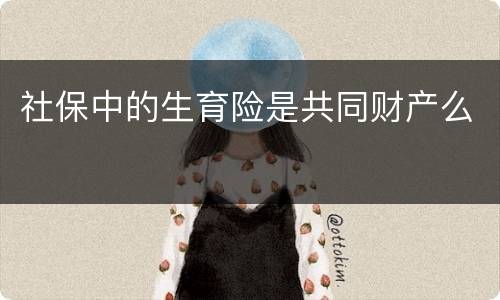 社保中的生育险是共同财产么