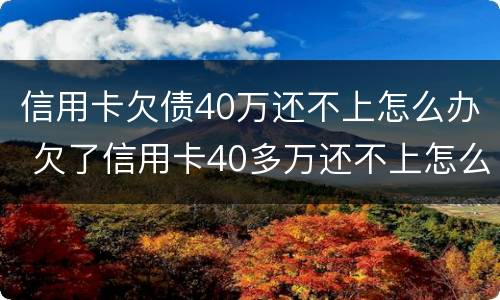 信用卡欠债40万还不上怎么办 欠了信用卡40多万还不上怎么办