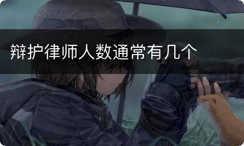 辩护律师人数通常有几个