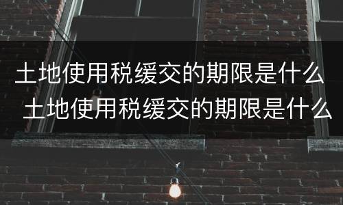 土地使用税缓交的期限是什么 土地使用税缓交的期限是什么