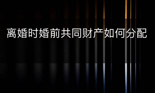 离婚时婚前共同财产如何分配