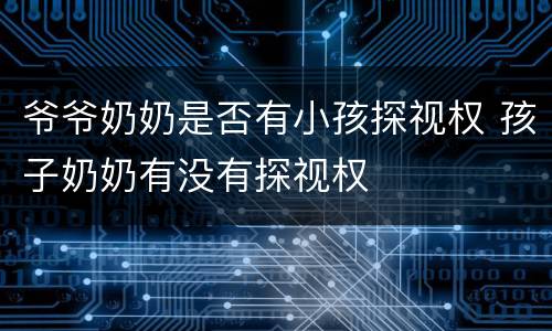 爷爷奶奶是否有小孩探视权 孩子奶奶有没有探视权