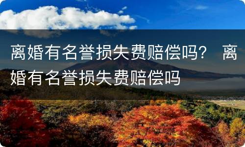 离婚有名誉损失费赔偿吗？ 离婚有名誉损失费赔偿吗