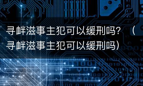 寻衅滋事主犯可以缓刑吗？（寻衅滋事主犯可以缓刑吗）